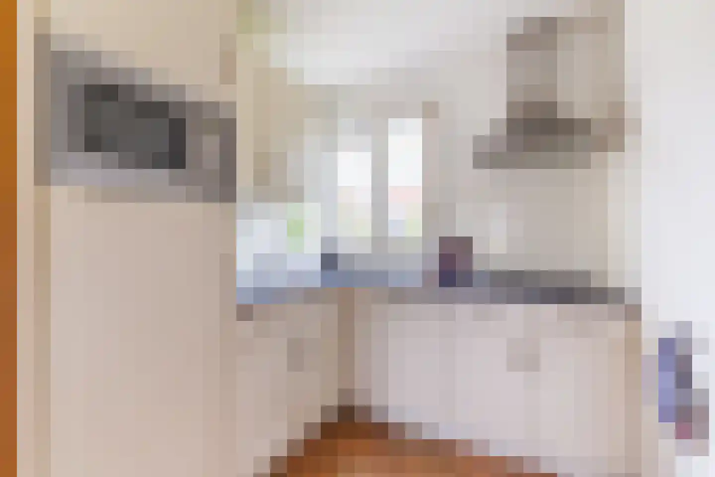 Ruigenhoekerweg 5 M24 Noordwijkerhout thumbnail 9