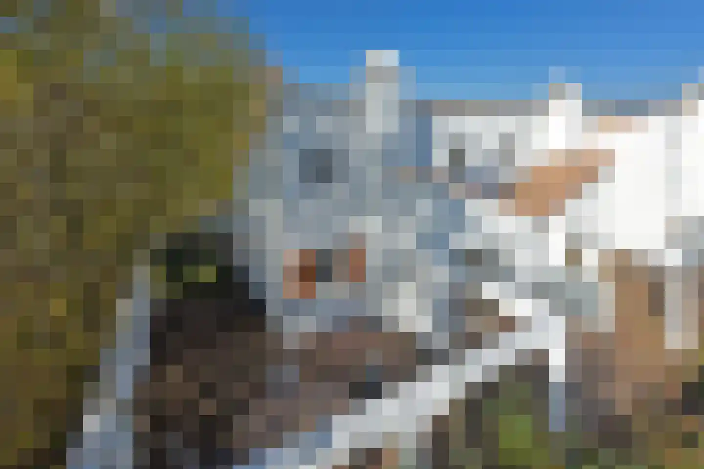 Ruigenhoekerweg 5 M86 Noordwijkerhout thumbnail 26