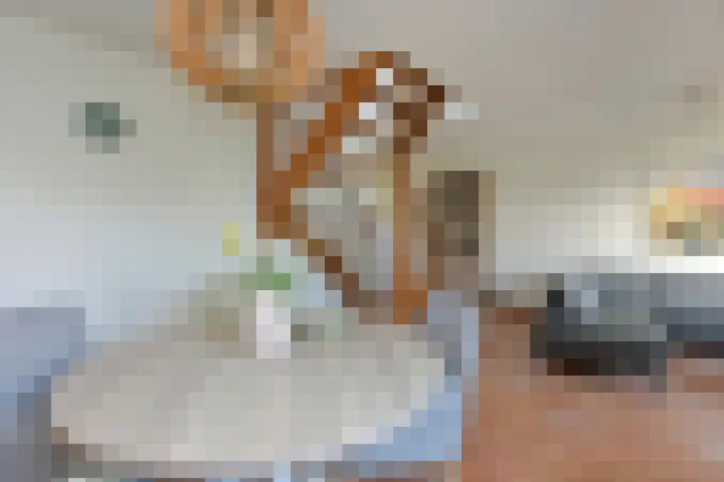 Ruigenhoekerweg 5 M86 Noordwijkerhout thumbnail 9