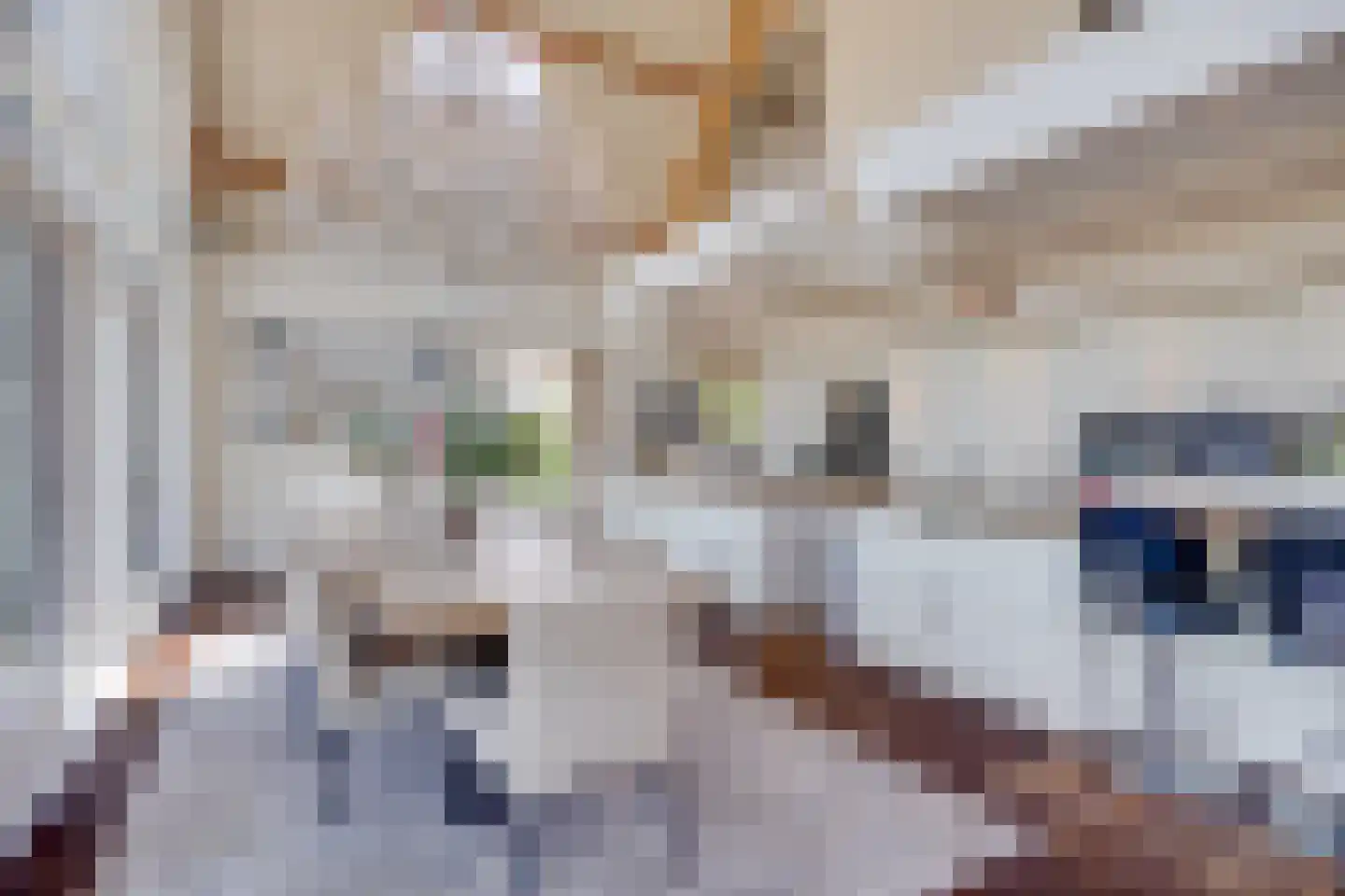 Ruigenhoeksedijk 34 Groenekan thumbnail 10