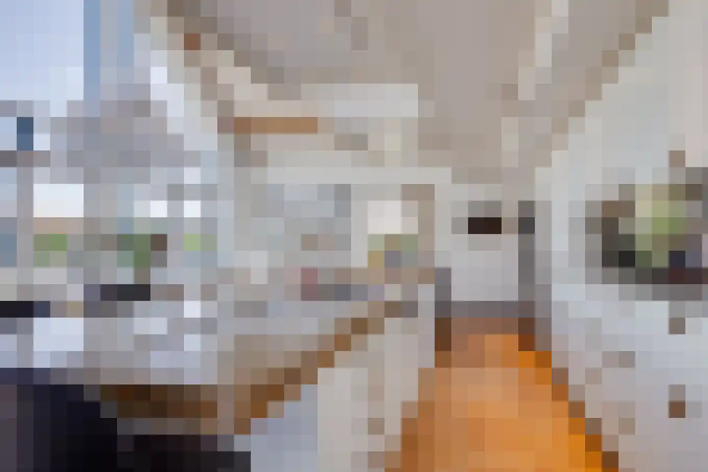 Ruigenhoeksedijk 34 Groenekan thumbnail 11