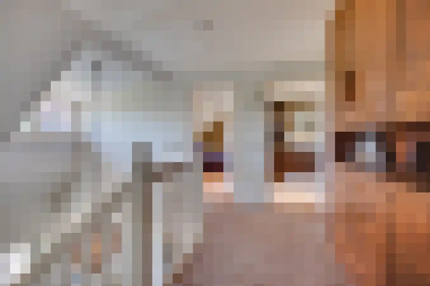 Ruigenhoeksedijk 34 Groenekan thumbnail 12