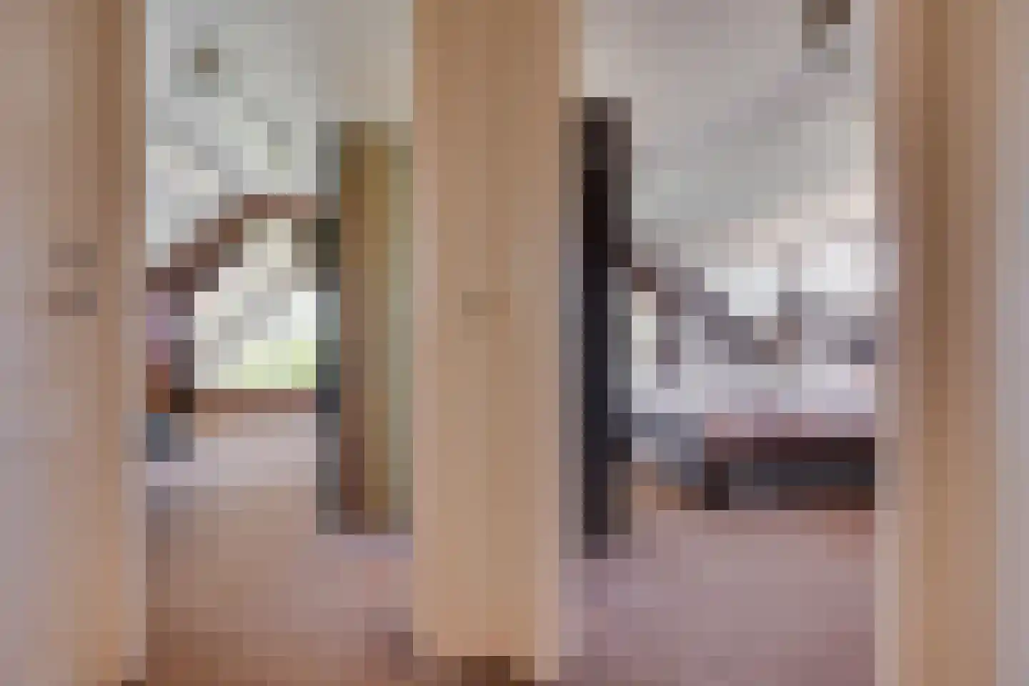 Ruigenhoeksedijk 34 Groenekan thumbnail 16