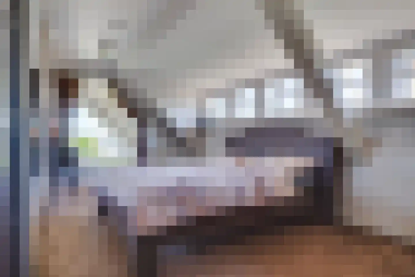 Ruigenhoeksedijk 34 Groenekan thumbnail 18