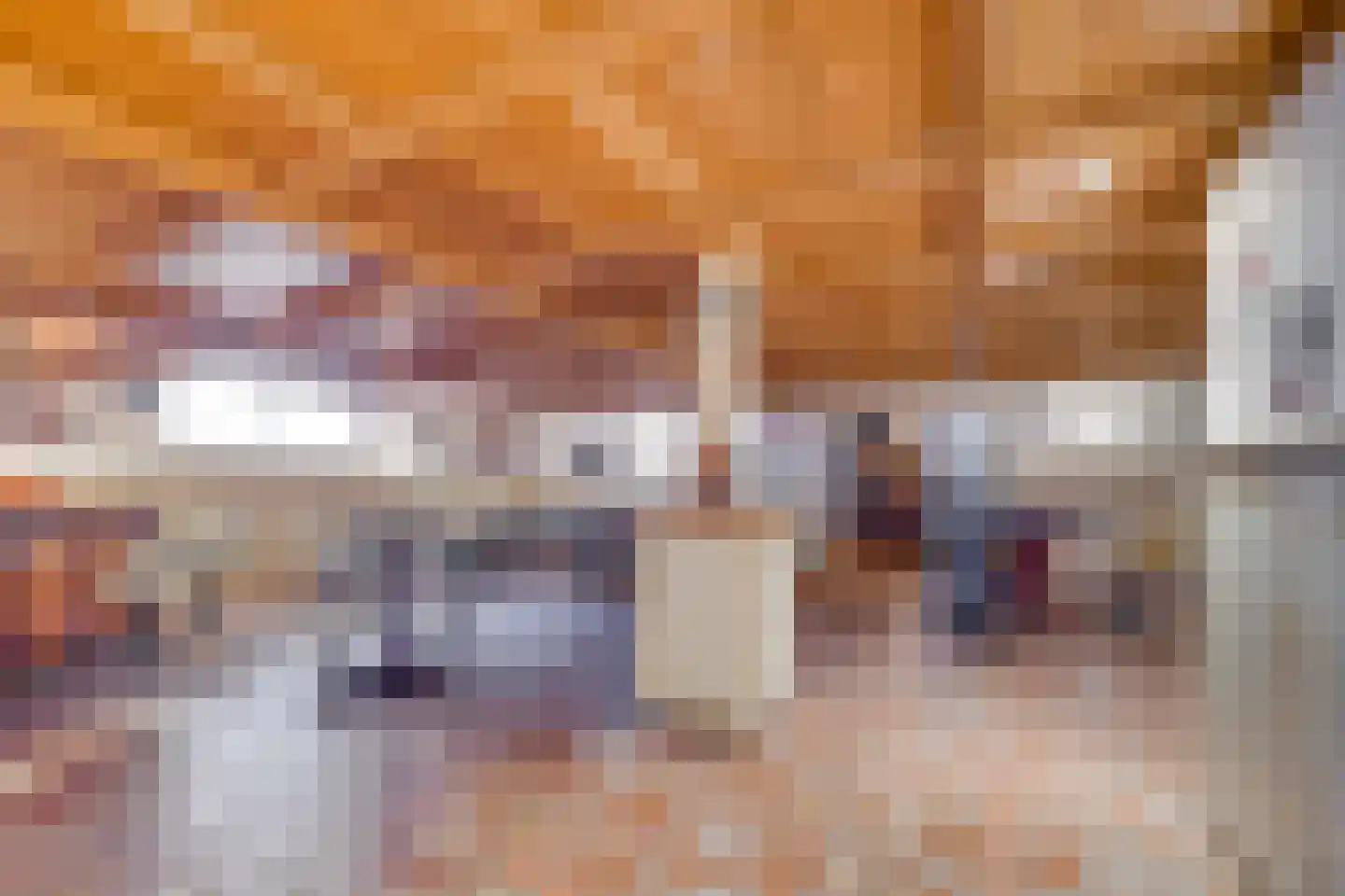 Ruigenhoeksedijk 34 Groenekan thumbnail 19