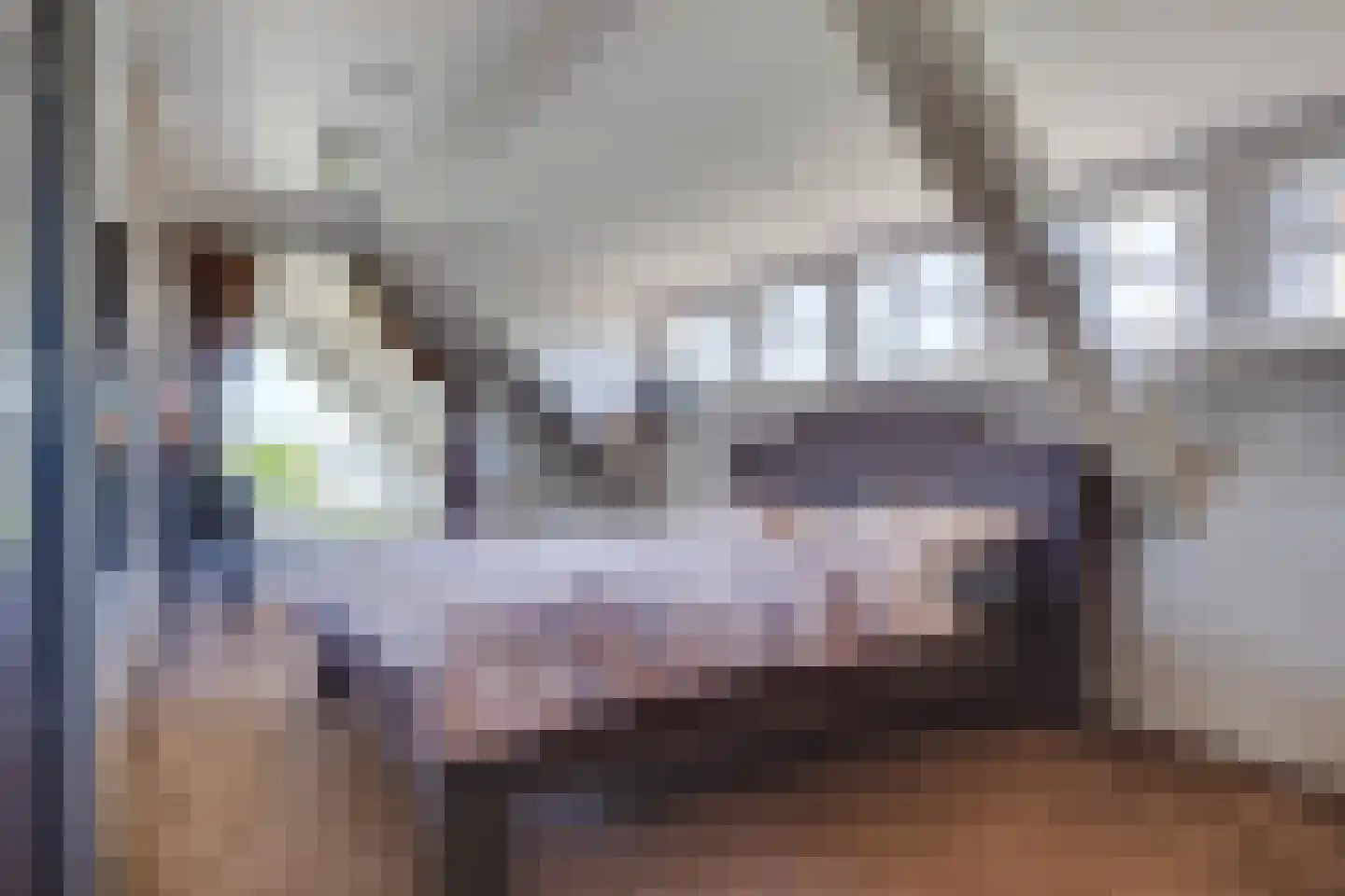 Ruigenhoeksedijk 34 Groenekan thumbnail 21
