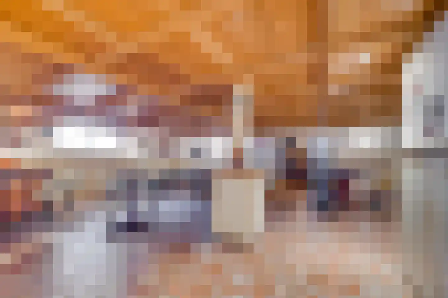Ruigenhoeksedijk 34 Groenekan thumbnail 22