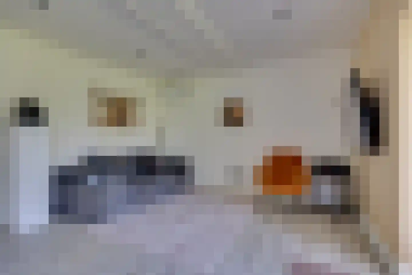 Ruigenhoeksedijk 34 Groenekan thumbnail 26