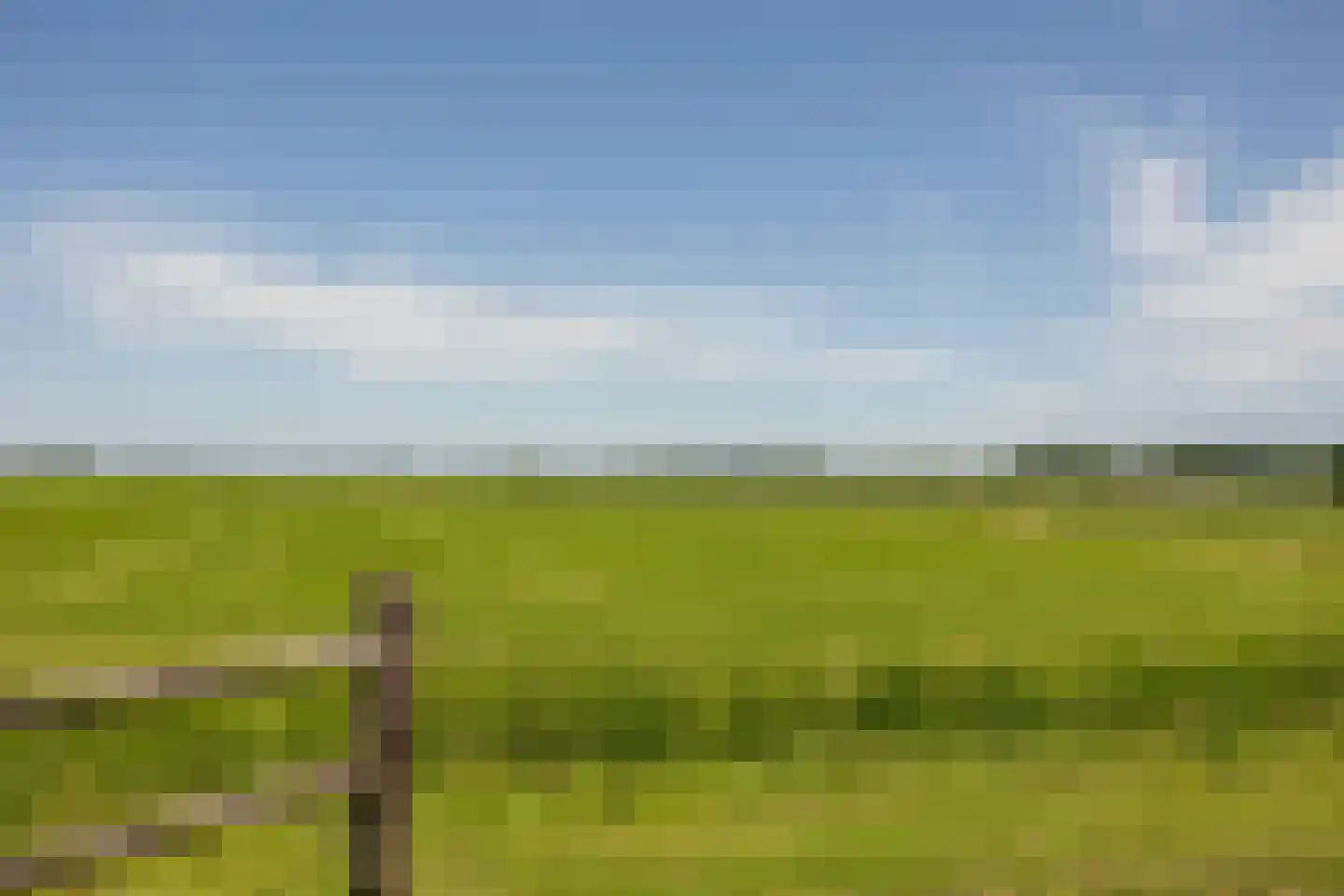 Ruigenhoeksedijk 34 Groenekan thumbnail 38