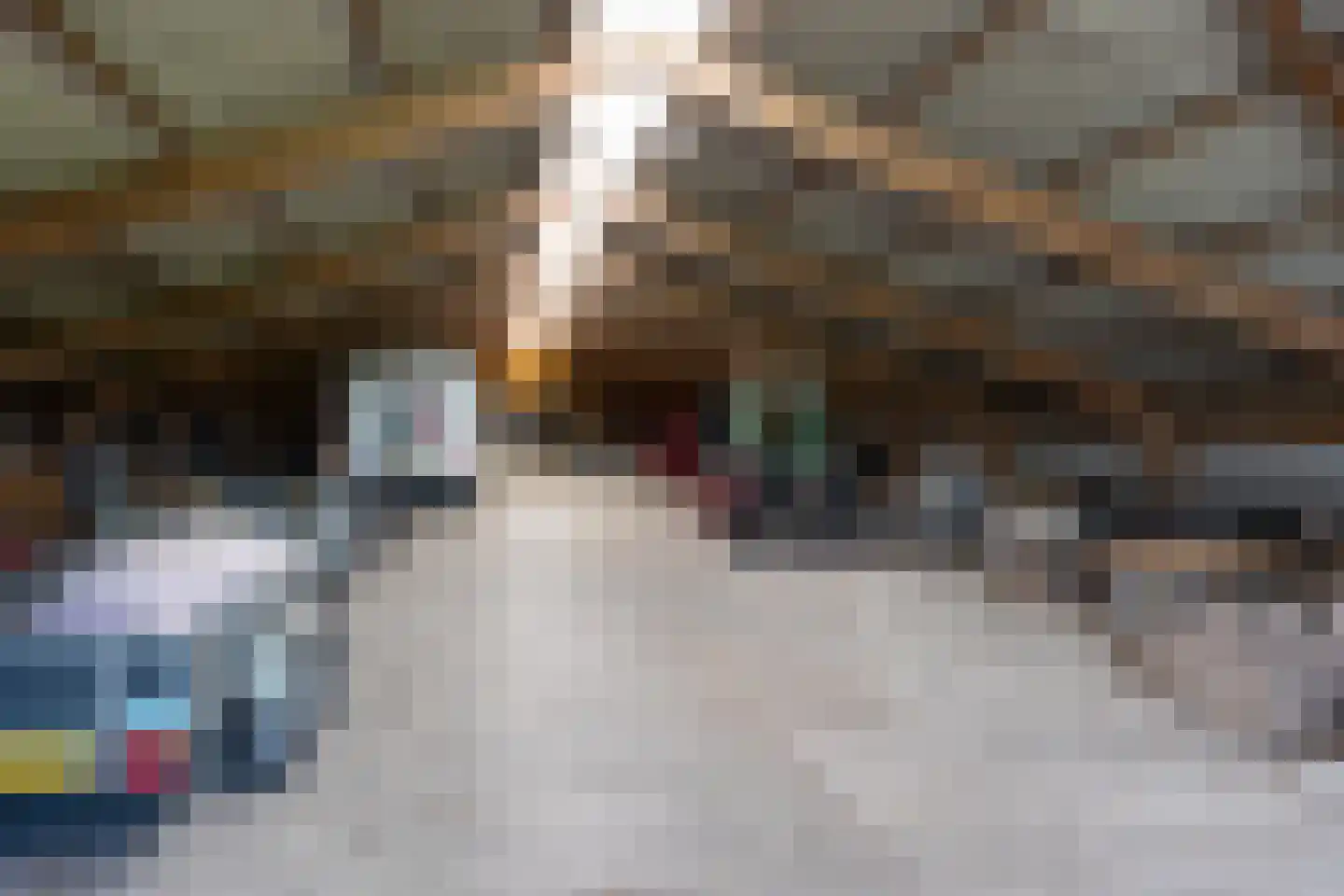 Ruigenhoeksedijk 34 Groenekan thumbnail 39