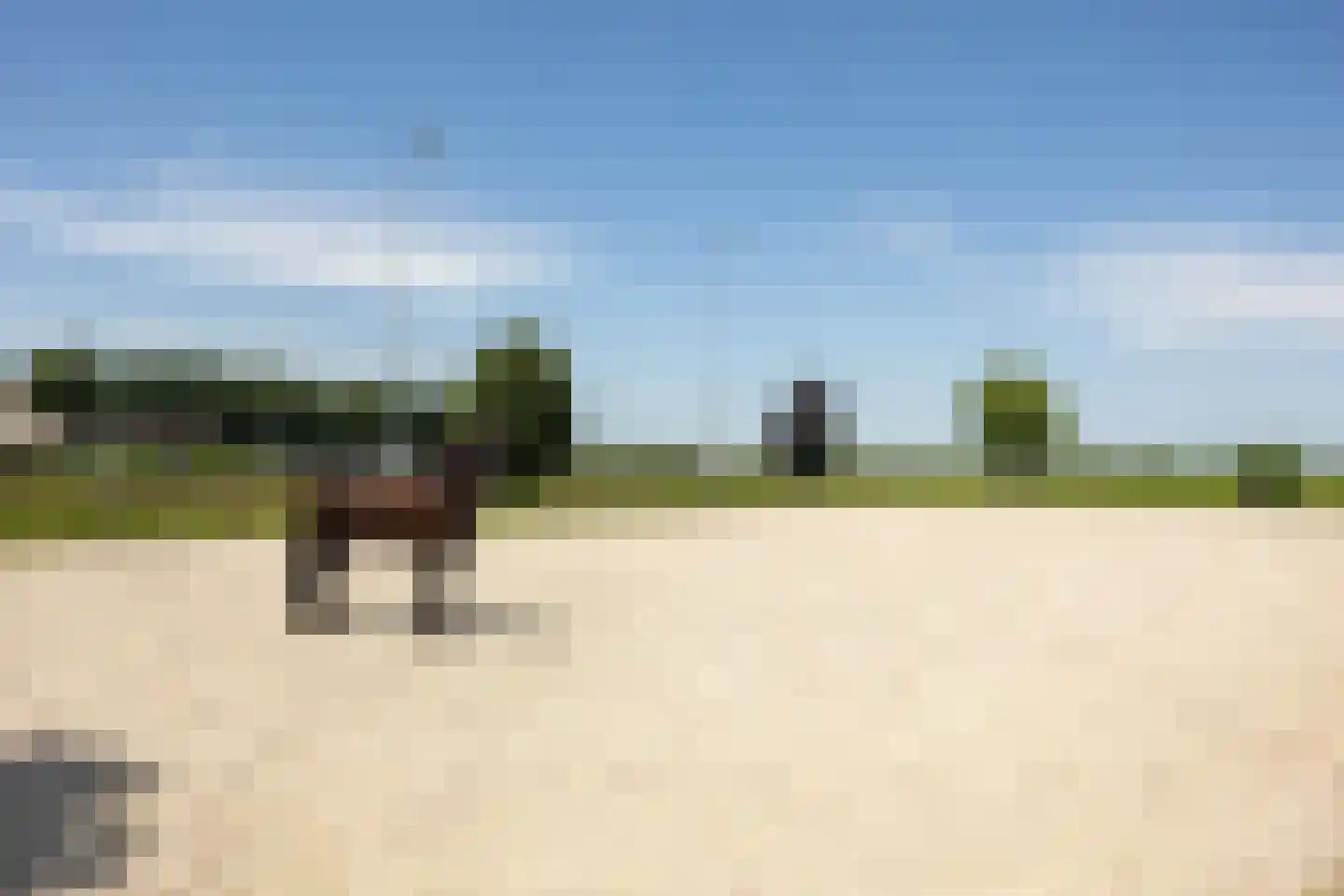 Ruigenhoeksedijk 34 Groenekan thumbnail 39