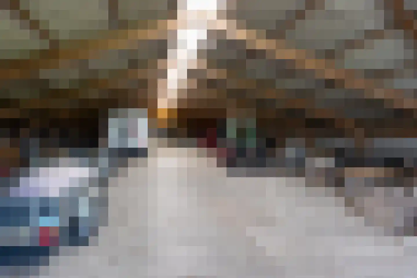 Ruigenhoeksedijk 34 Groenekan thumbnail 43