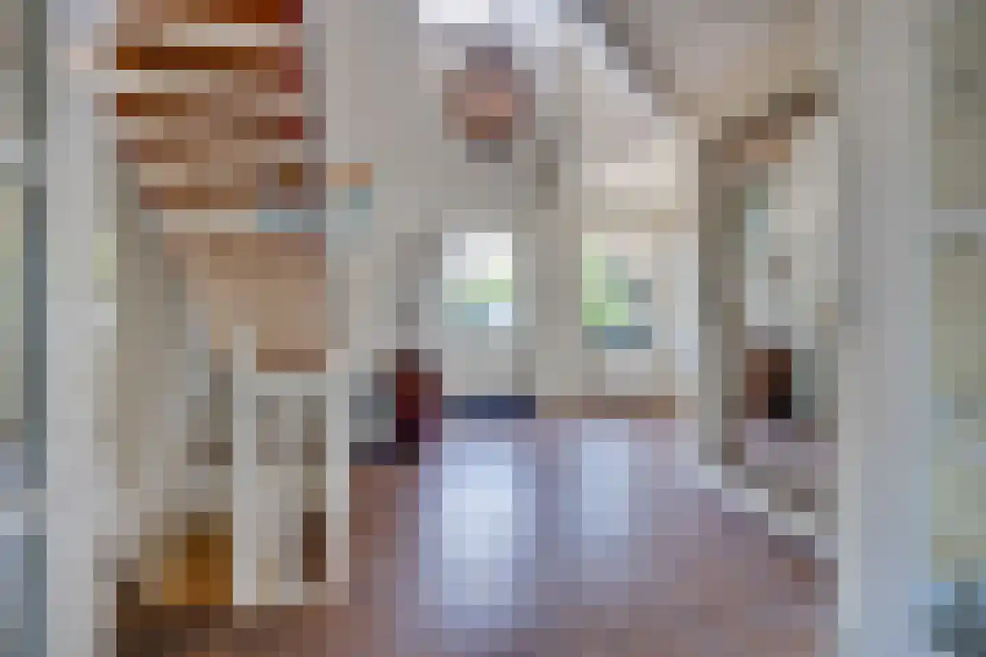 Ruigenhoeksedijk 34 Groenekan thumbnail 5