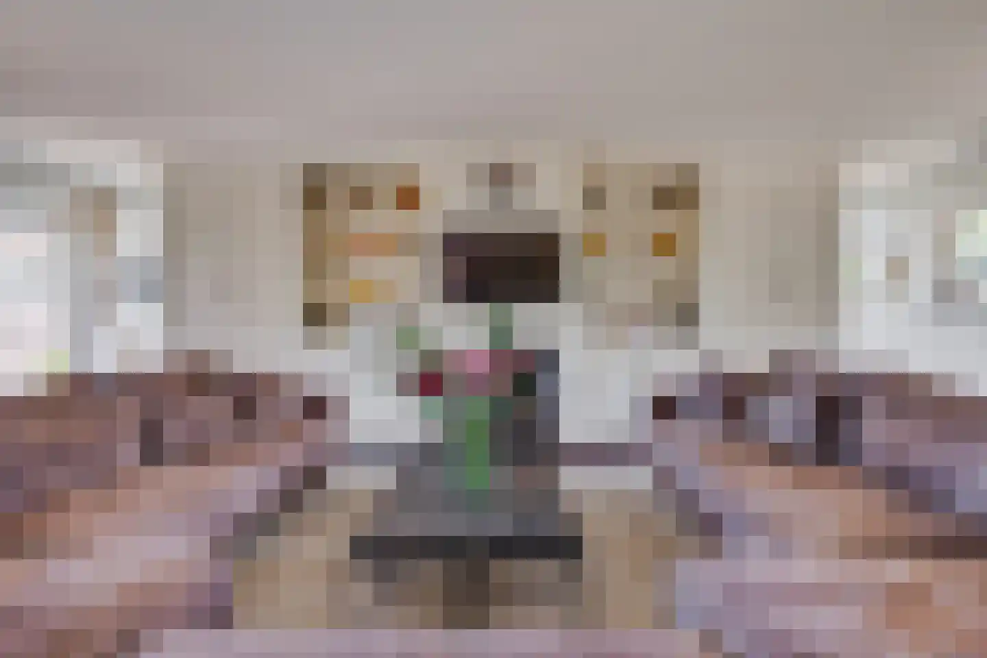 Ruigenhoeksedijk 34 Groenekan thumbnail 8