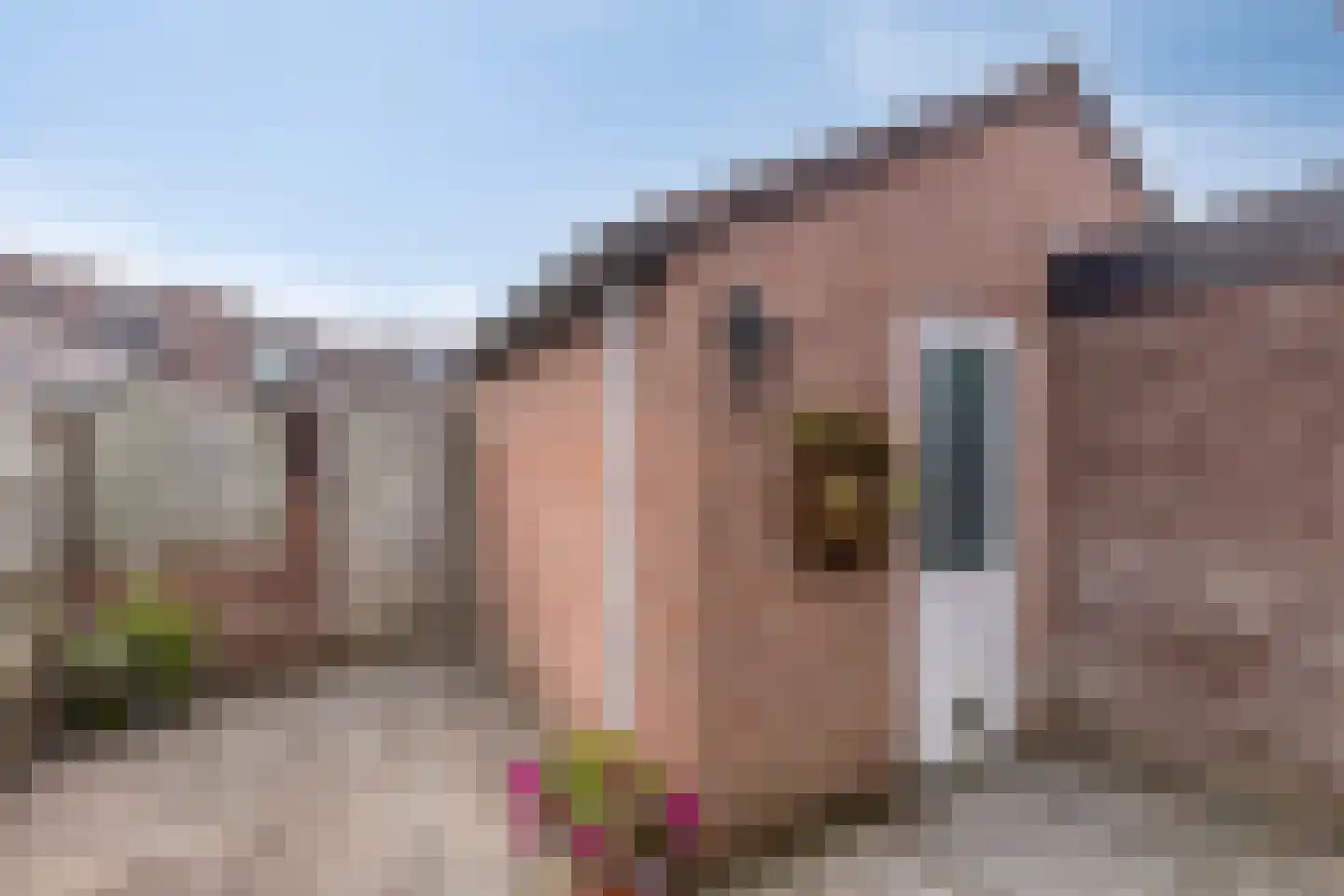 Ruigenhof 29 Amersfoort thumbnail 32