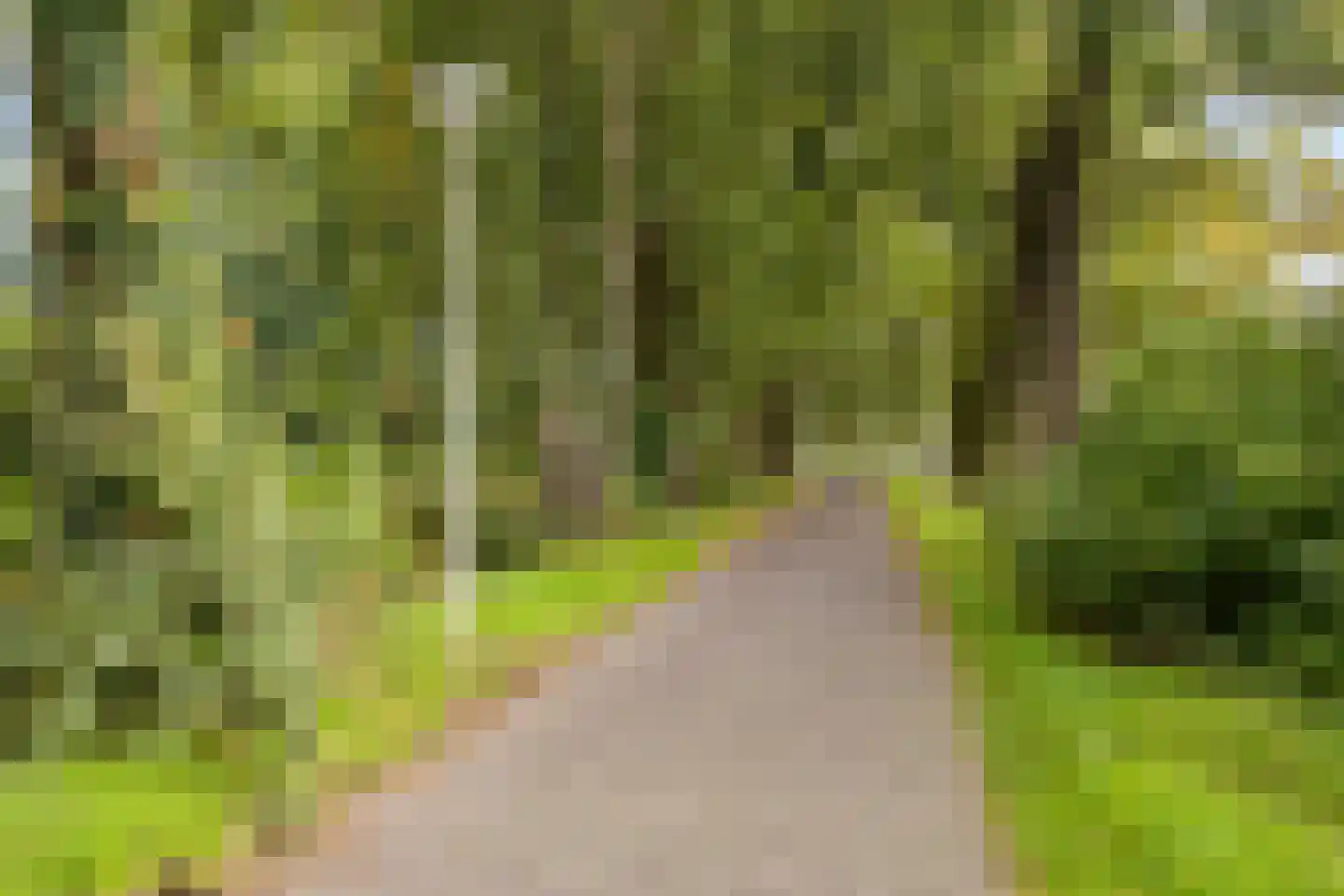 Ruigenhof 29 Amersfoort thumbnail 35