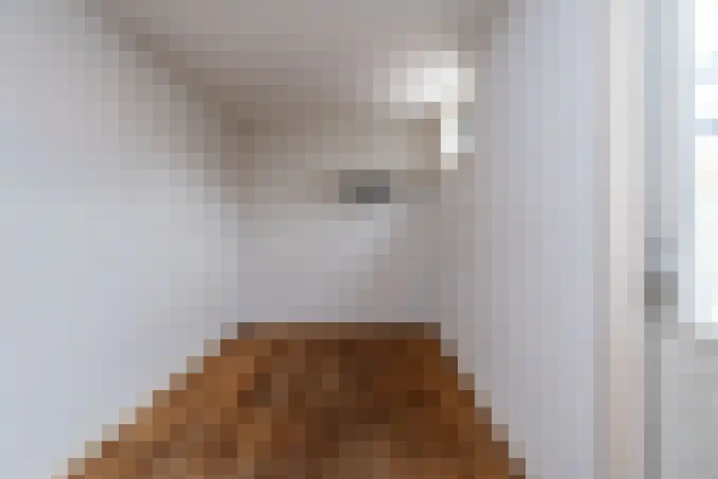 Ruigeveldweg 12 Stadskanaal thumbnail 16