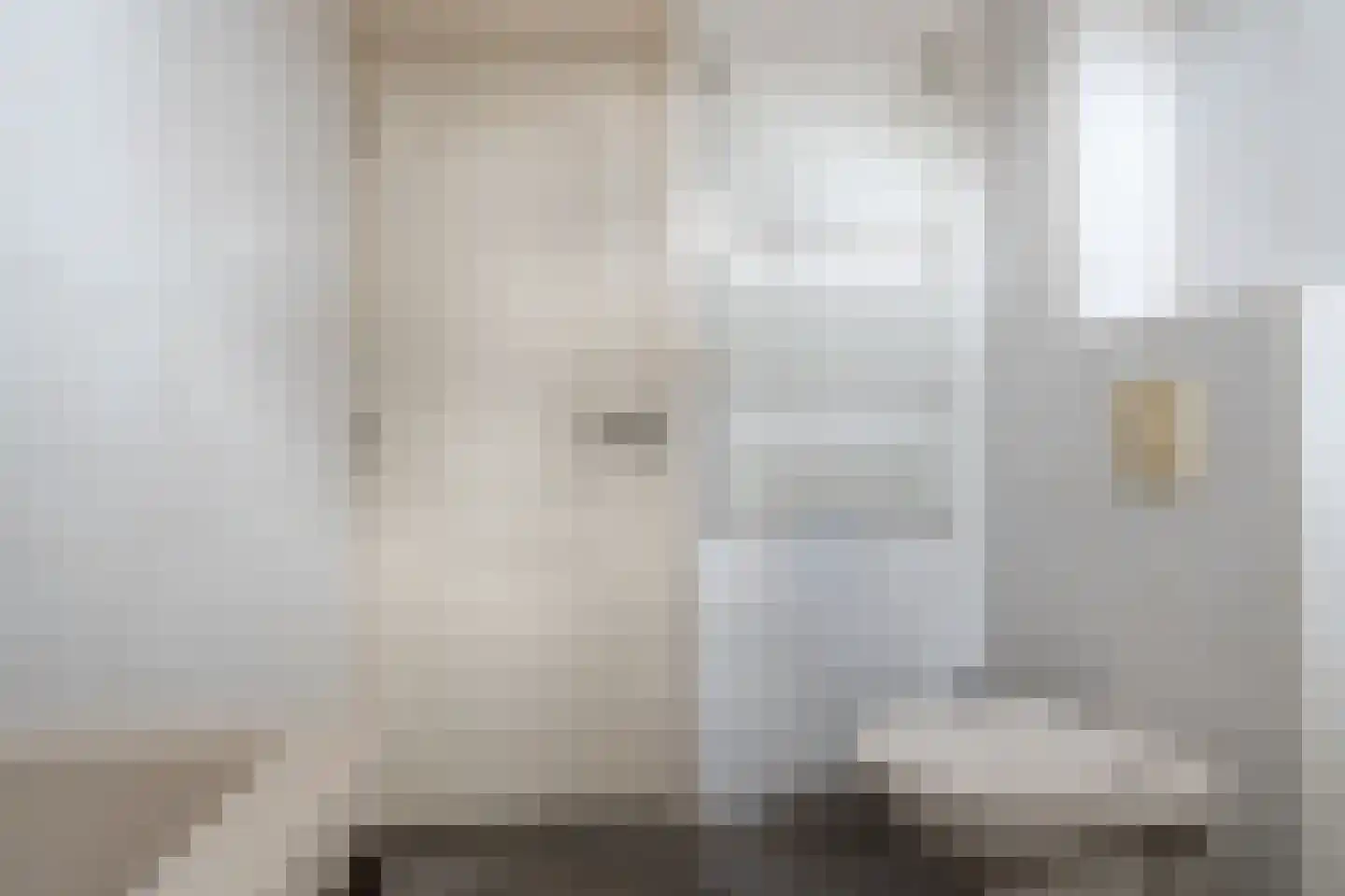 Ruigeveldweg 12 Stadskanaal thumbnail 30
