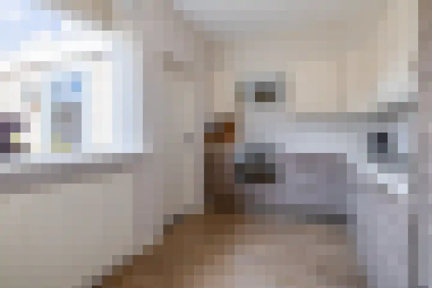 Ruigeveldweg 5 Stadskanaal thumbnail 21