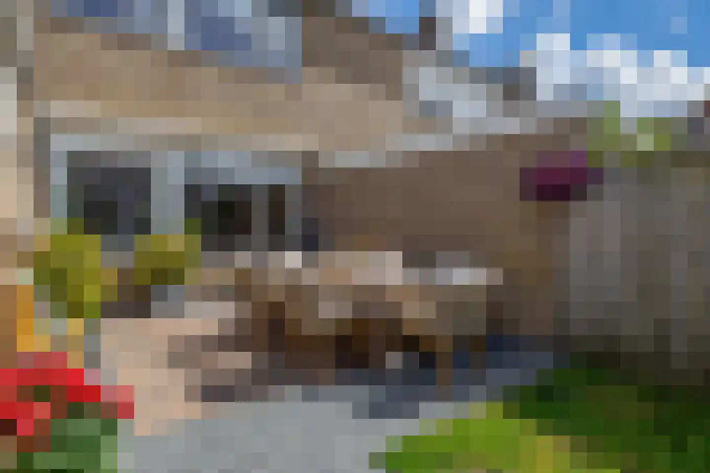 Ruigeveldweg 5 Stadskanaal thumbnail 42