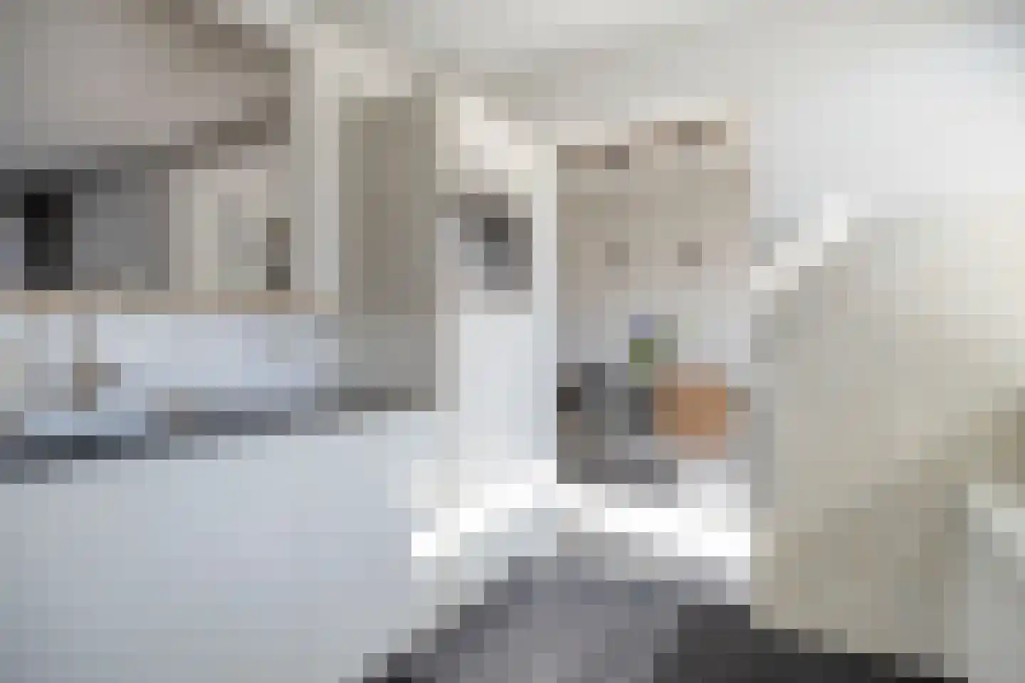Ruigeveldweg 7 Stadskanaal thumbnail 19