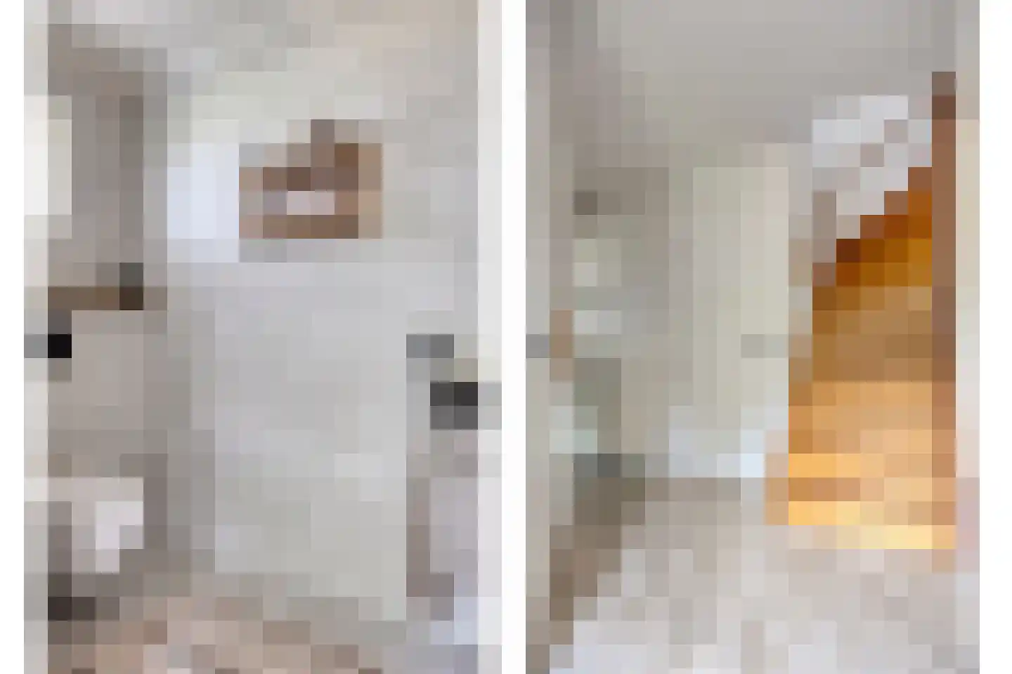 Ruigeweg 11 Burgerbrug foto 2