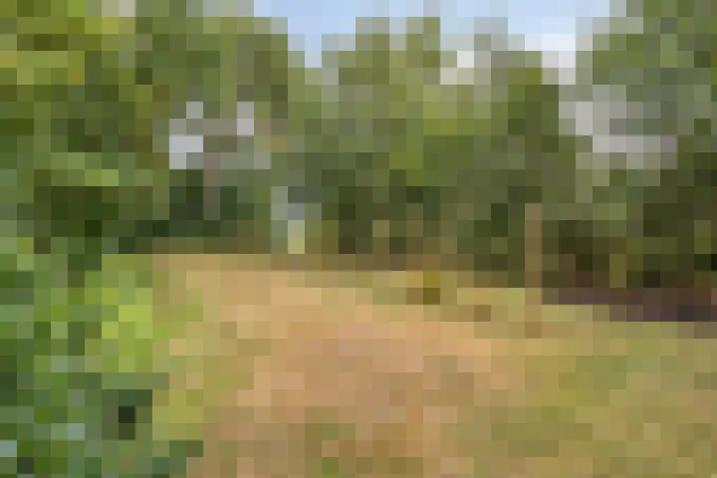 Ruigeweg 11 Burgerbrug thumbnail 31
