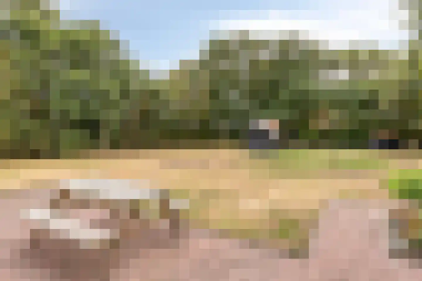 Ruigeweg 11 Burgerbrug thumbnail 34