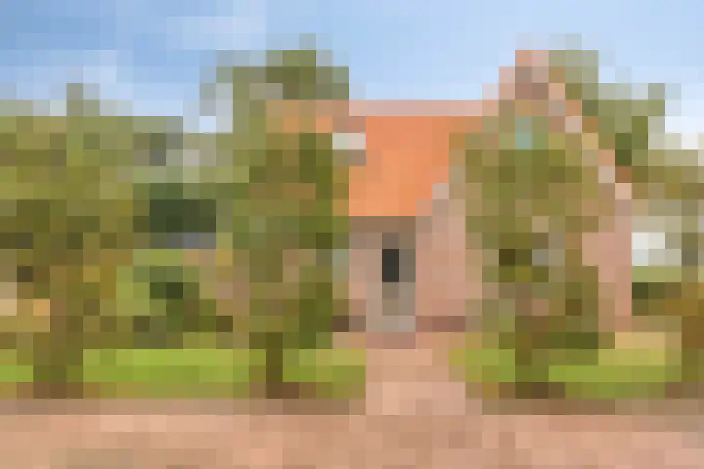 Ruigeweg 11 Burgerbrug thumbnail 57