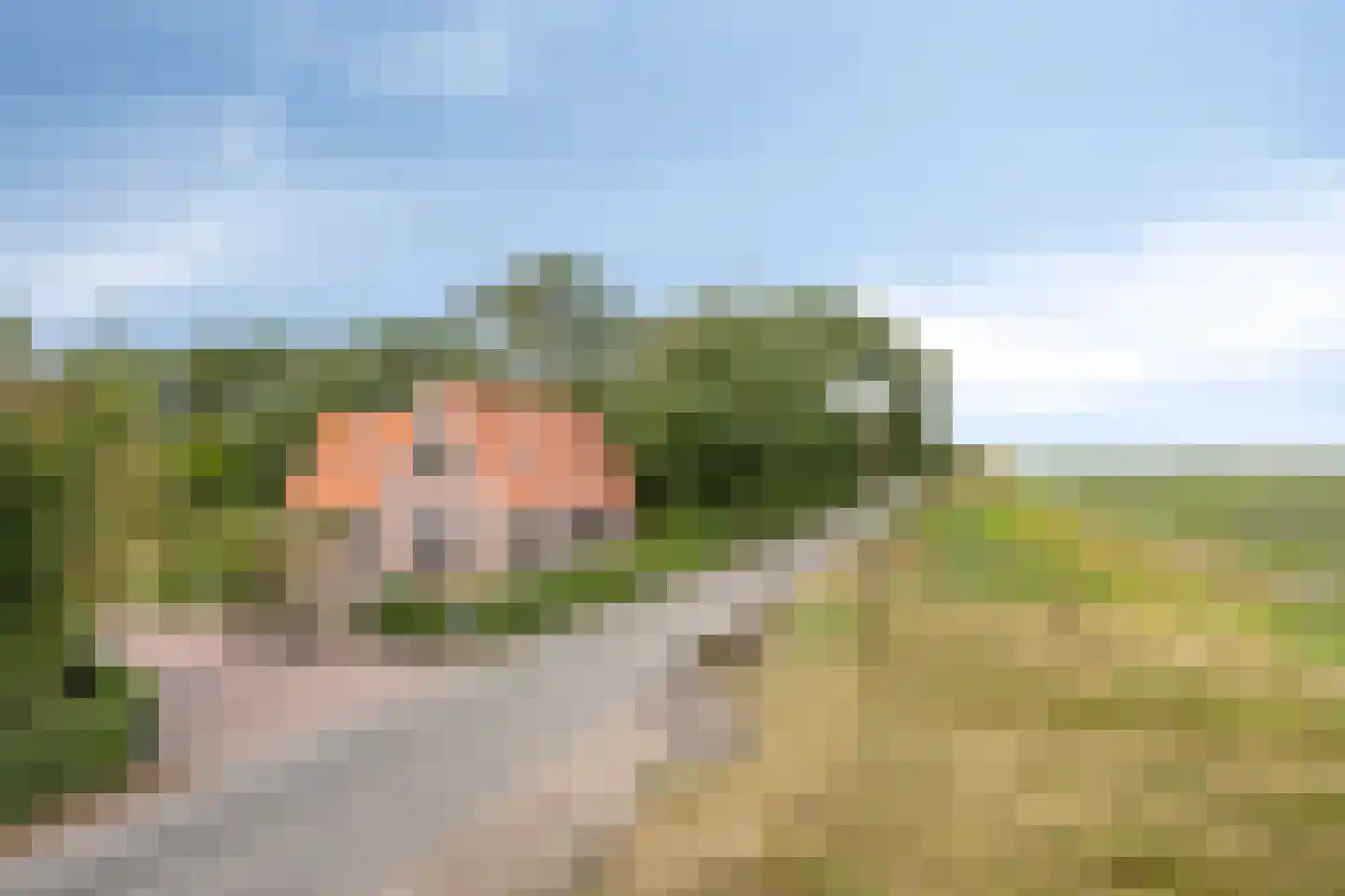 Ruigeweg 11 Burgerbrug thumbnail 6