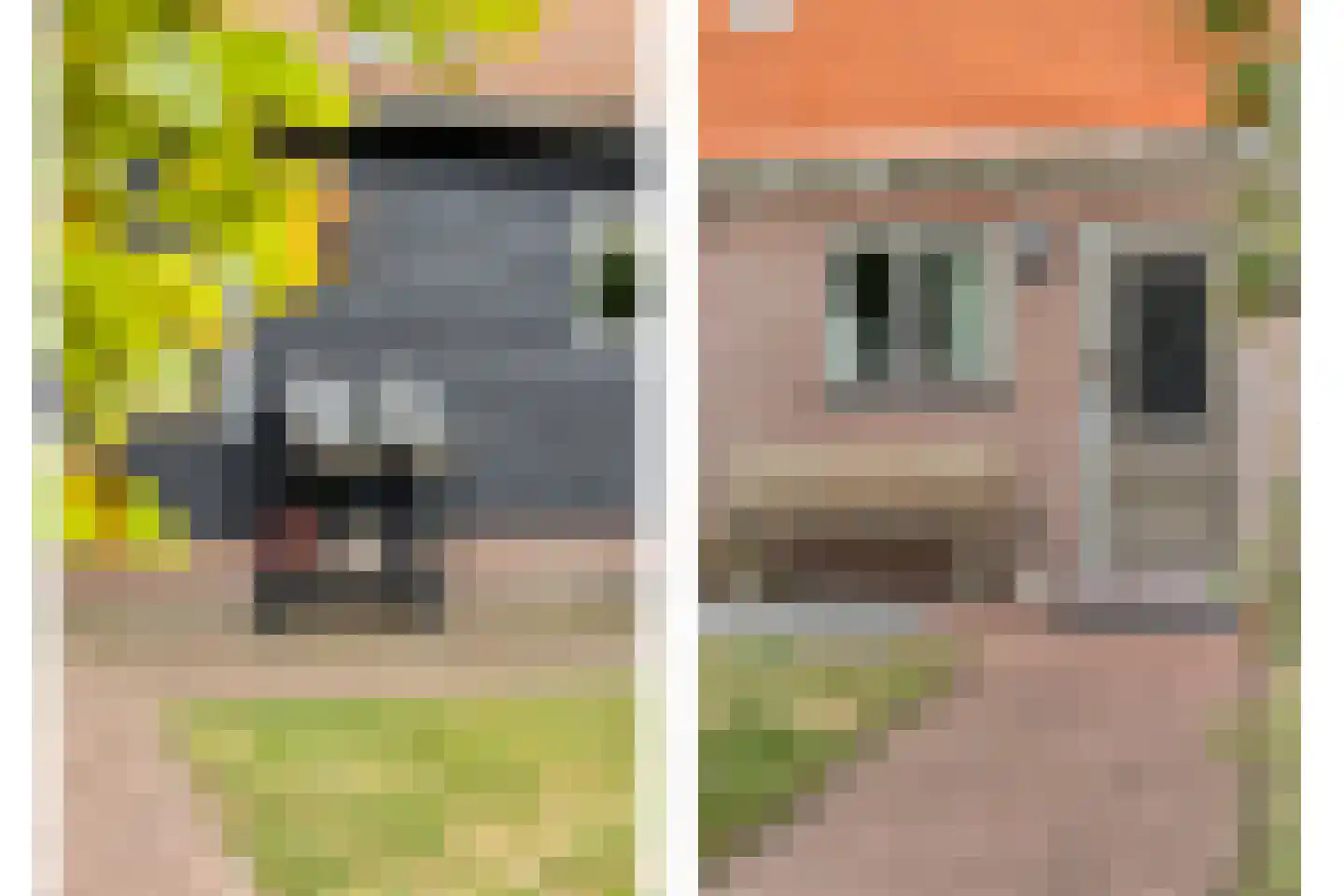 Ruigeweg 11 Burgerbrug thumbnail 8