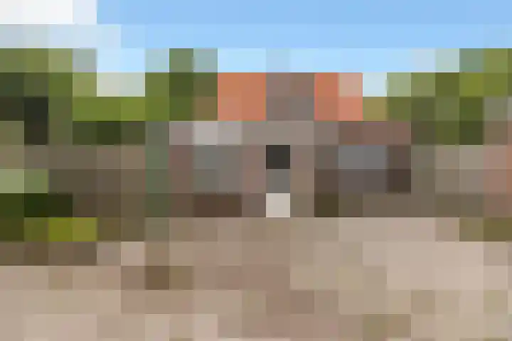 Ruigeweg 30 Sint Maartensbrug thumbnail 25
