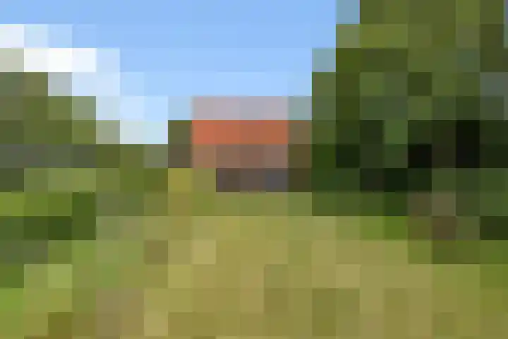 Ruigeweg 30 Sint Maartensbrug thumbnail 31