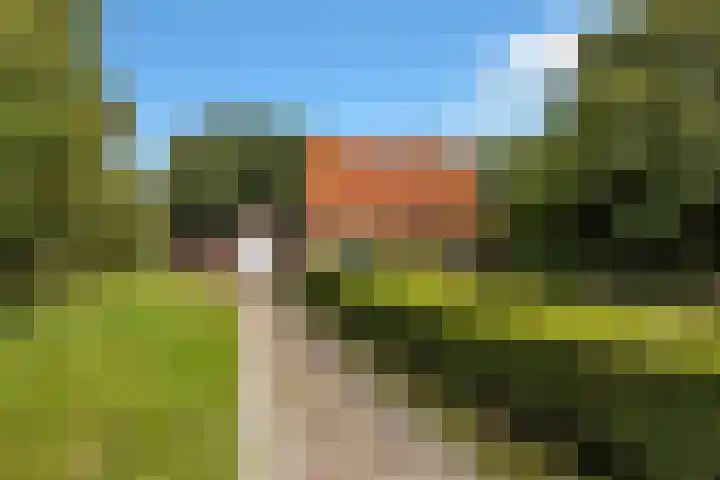 Ruigeweg 30 Sint Maartensbrug thumbnail 32