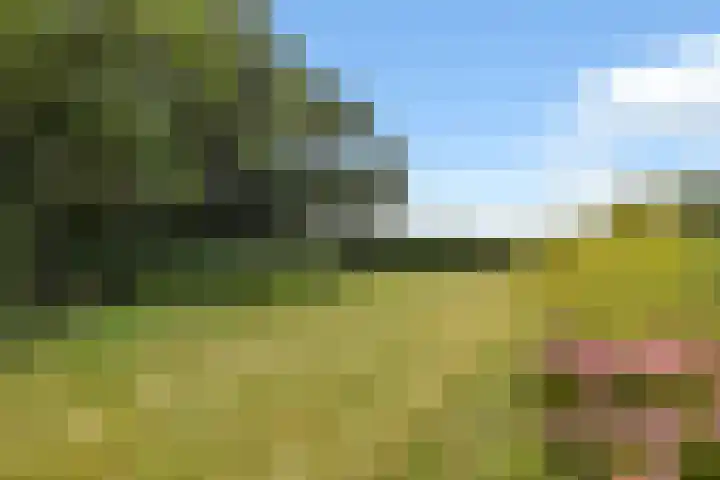 Ruigeweg 30 Sint Maartensbrug thumbnail 5