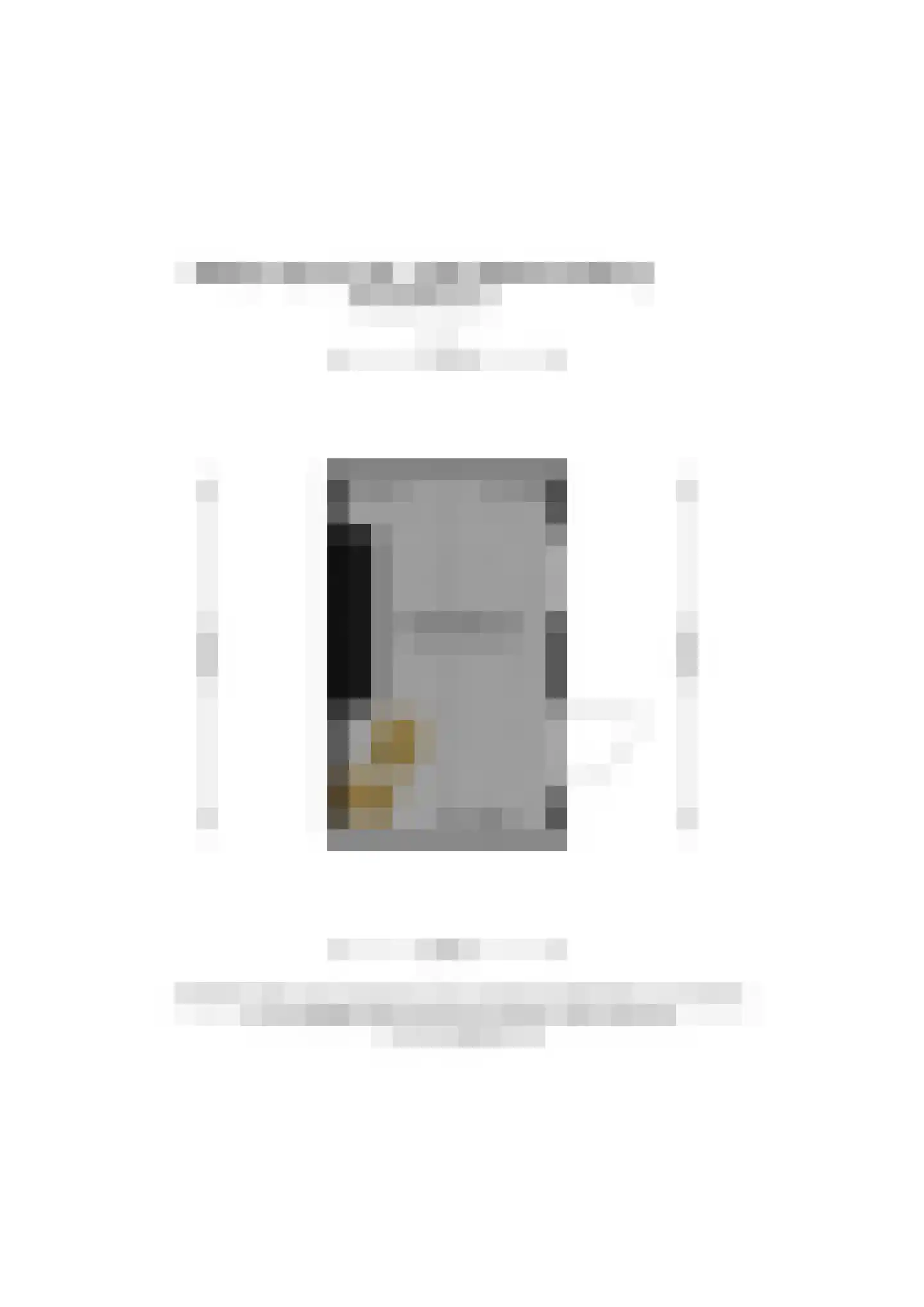 Ruigeweg 55 A h5a Sint Maartensbrug thumbnail 47