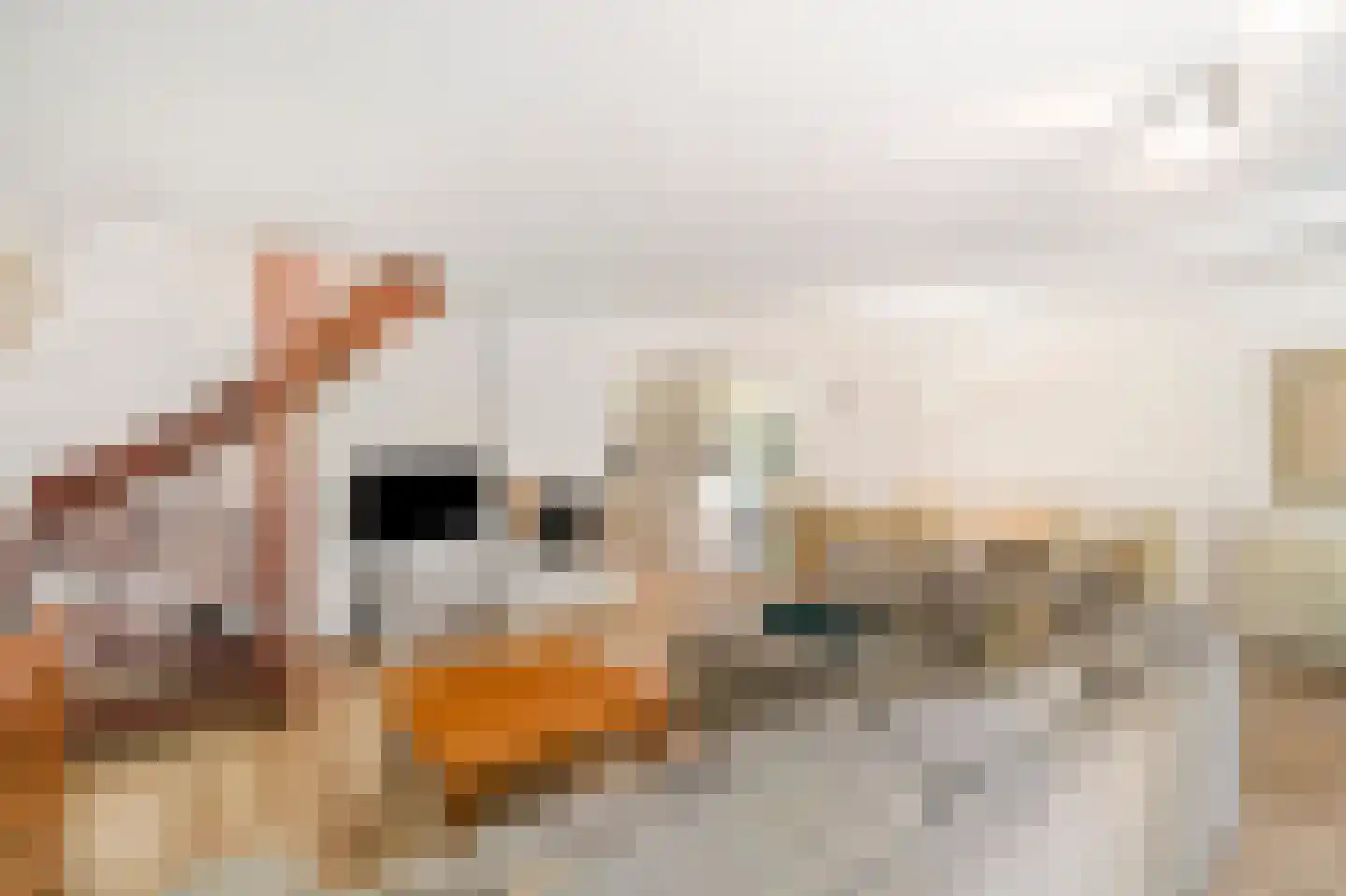 Ruigeweg 61 h24 Sint Maartensbrug thumbnail 10