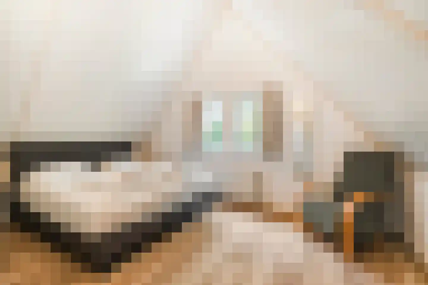 Ruigeweg 61 h24 Sint Maartensbrug thumbnail 17