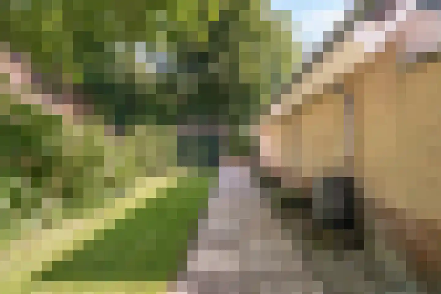 Ruigeweg 61 h24 Sint Maartensbrug thumbnail 31