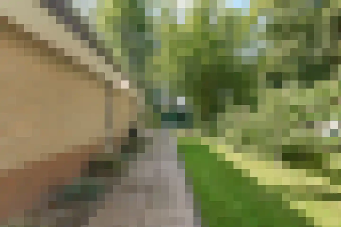 Ruigeweg 61 h24 Sint Maartensbrug thumbnail 32