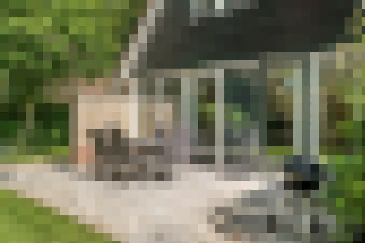 Ruigeweg 61 h24 Sint Maartensbrug thumbnail 34