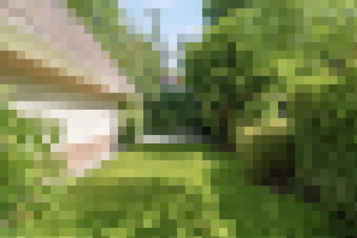 Ruigeweg 61 h24 Sint Maartensbrug thumbnail 37