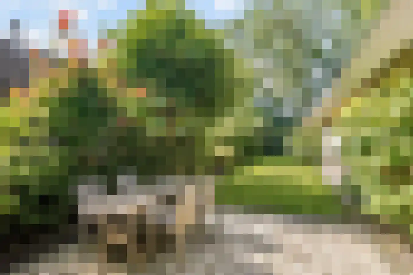 Ruigeweg 61 h24 Sint Maartensbrug thumbnail 38