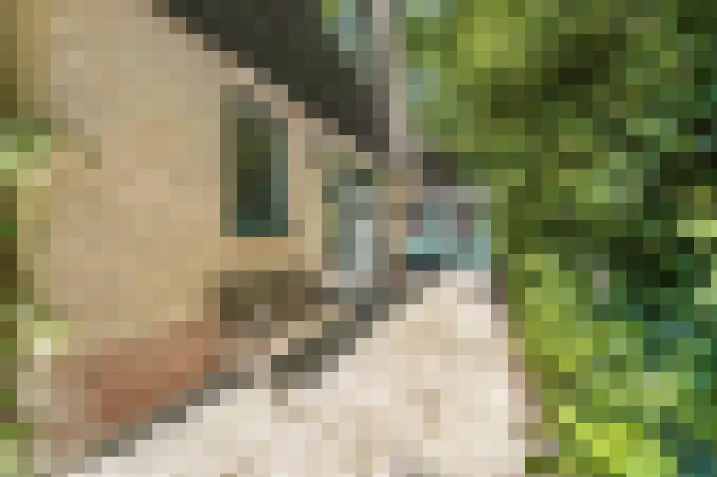 Ruigeweg 61 h24 Sint Maartensbrug thumbnail 4