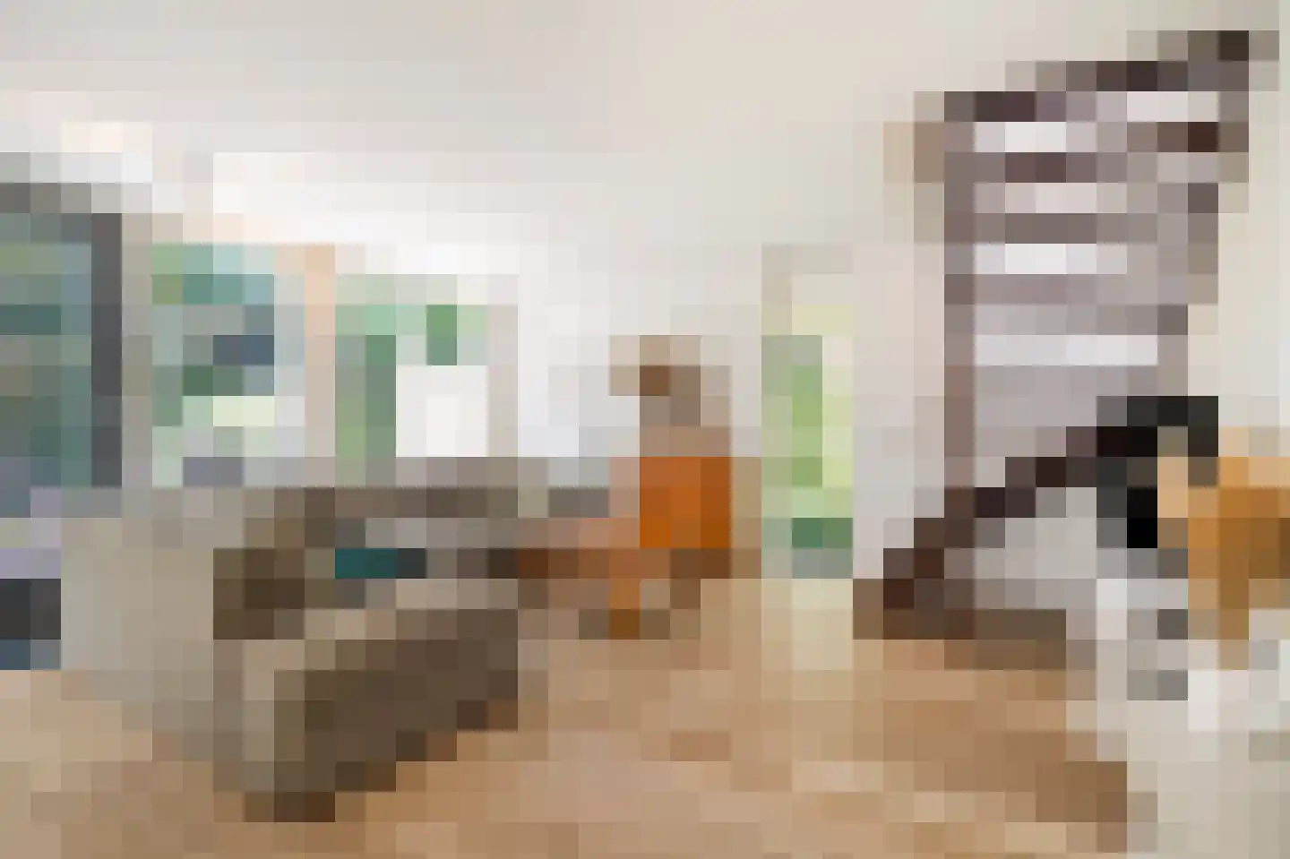 Ruigeweg 61 h24 Sint Maartensbrug thumbnail 8