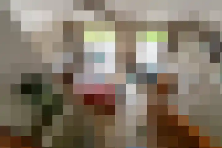 Ruigeweg 61 h7 Sint Maartensbrug thumbnail 11