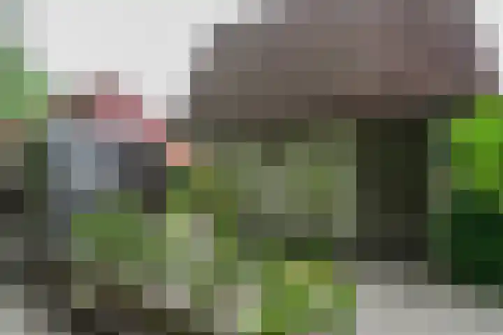 Ruigeweg 61 h7 Sint Maartensbrug thumbnail 15