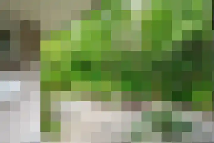 Ruigeweg 61 h7 Sint Maartensbrug thumbnail 16