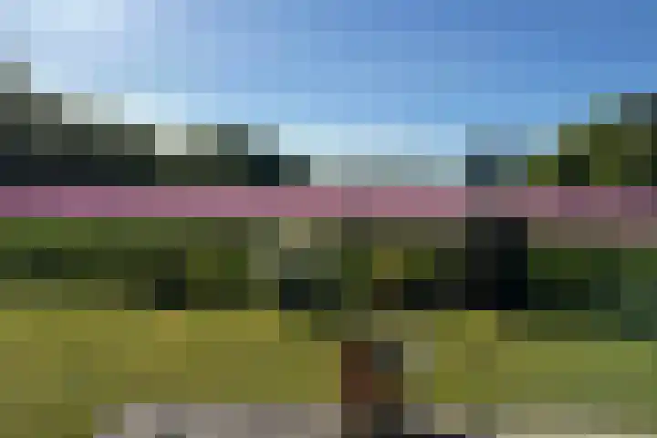 Ruigeweg 61 h7 Sint Maartensbrug thumbnail 17