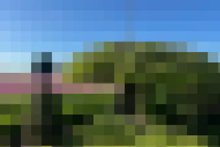 Ruigeweg 61 h7 Sint Maartensbrug thumbnail 18